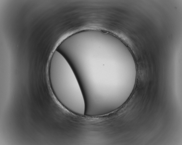 X0000088441382200705220906