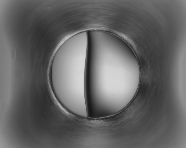 X0000088441383200705220906