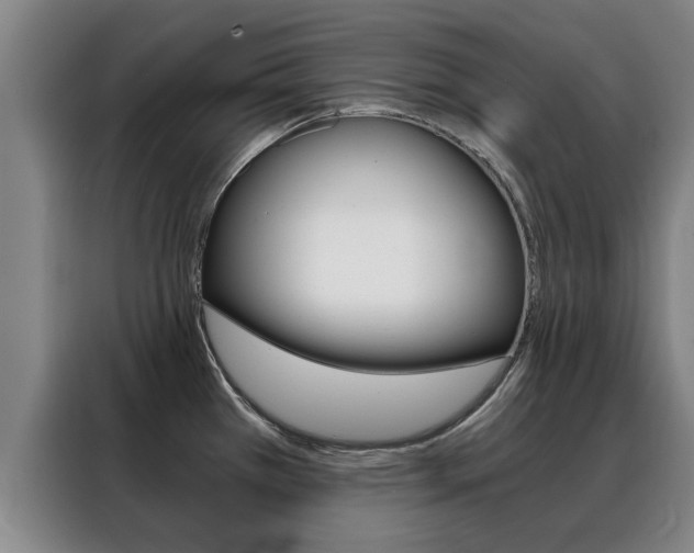 X0000088441385200705220906