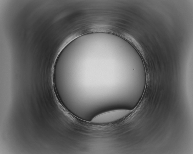 X0000088441386200705220906