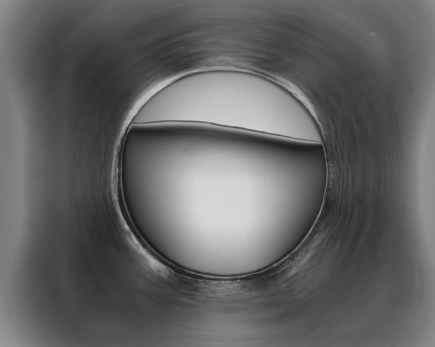 X0000088441387200705220906