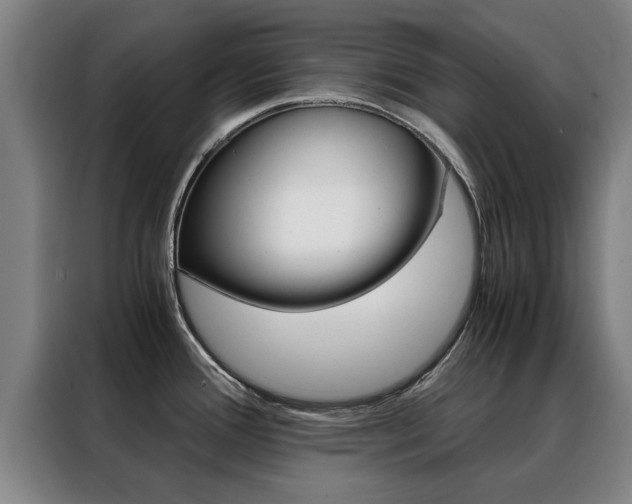 X0000088441388200705220906