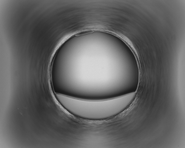 X0000088441389200705220906