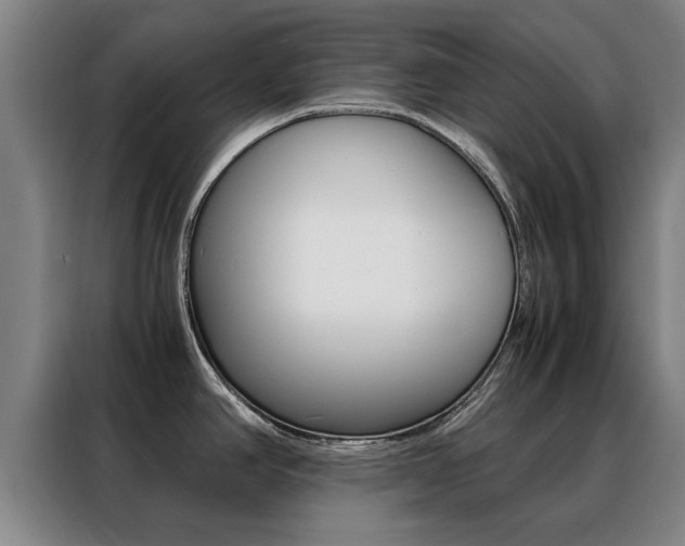X0000088441390200705220906