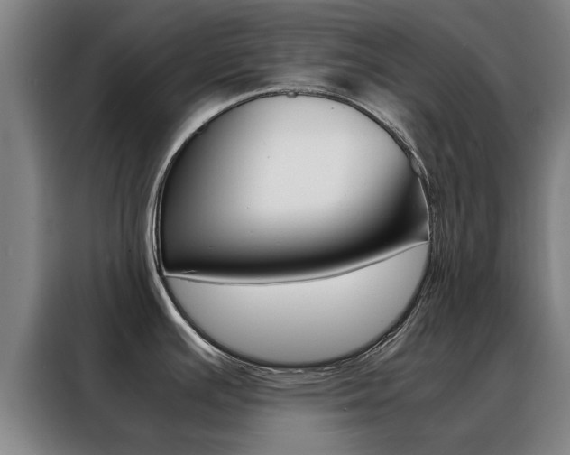 X0000088441391200705220906
