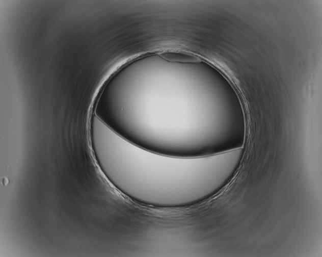 X0000088441392200705220906