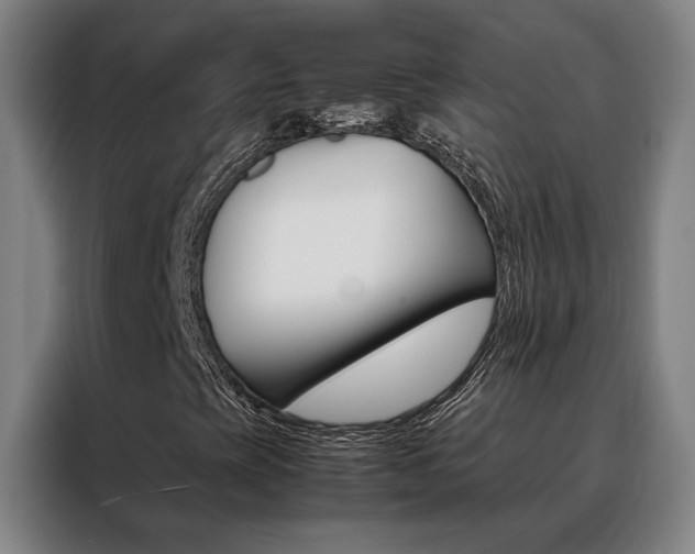 X0000088441393200705220905