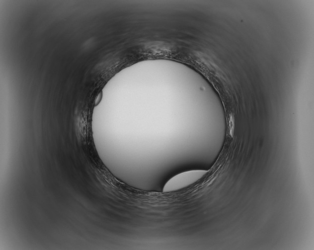 X0000088441395200705220905