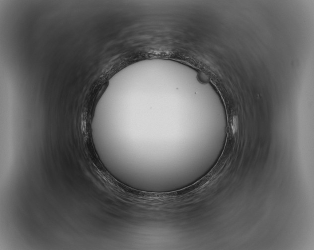 X0000088441396200705220905