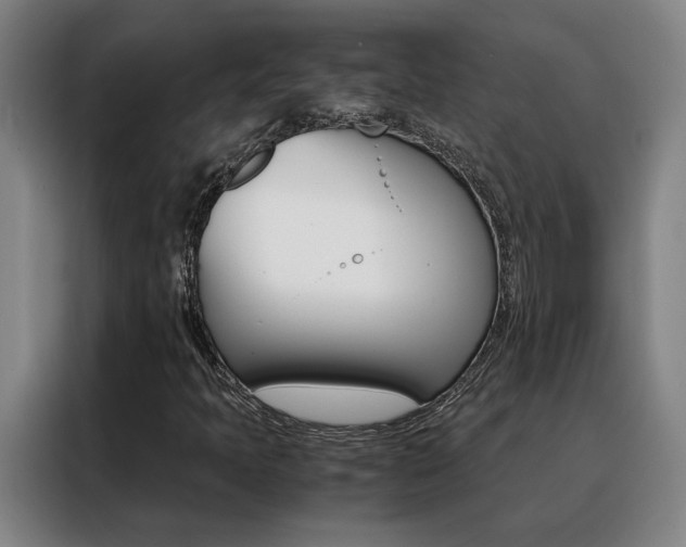 X0000088441397200705220905