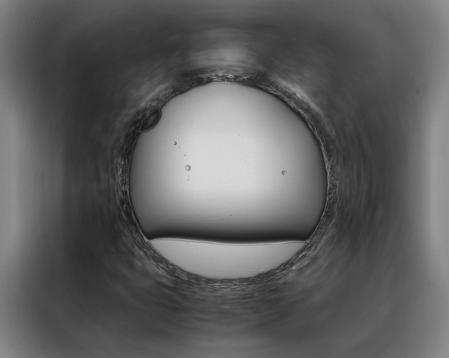 X0000088441399200705220905