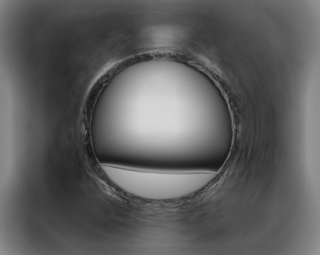 X0000088441400200705220905