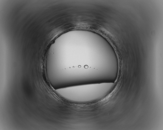 X0000088441401200705220905