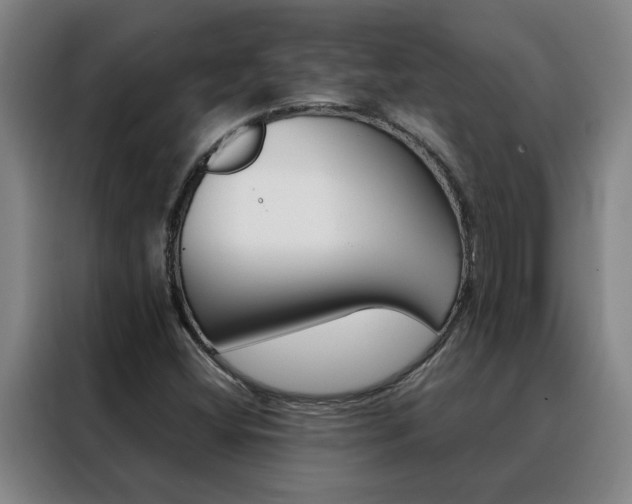 X0000088441404200705220905