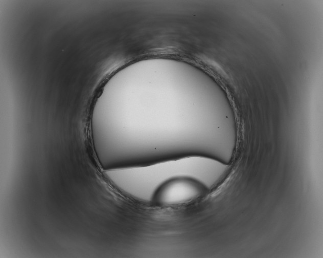 X0000088441405200705220905