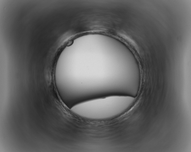 X0000088441407200705220905