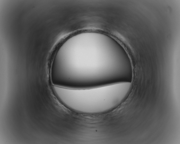 X0000088441408200705220905