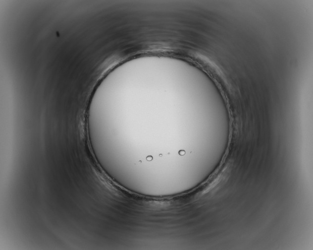 X0000088441409200705220905