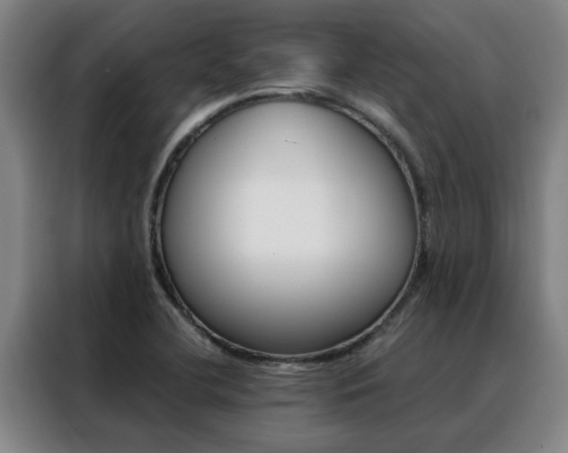 X0000088441412200705220905