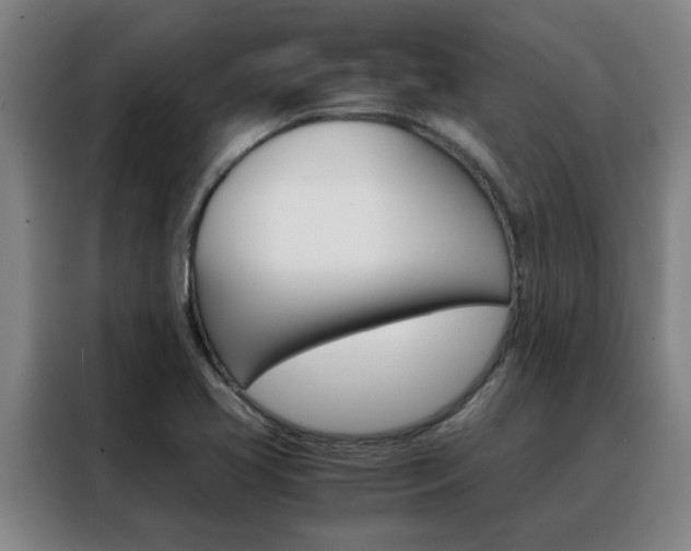 X0000088441413200705220905