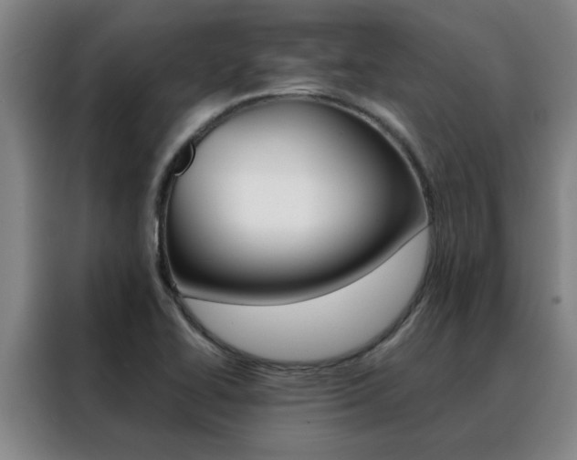 X0000088441414200705220905