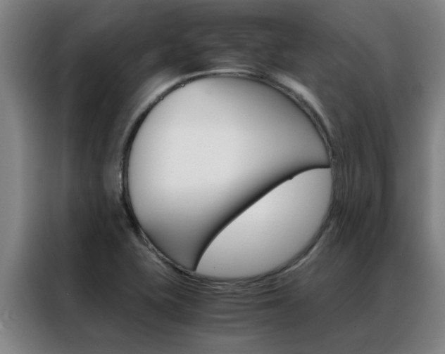 X0000088441415200705220905