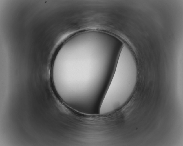 X0000088441416200705220905