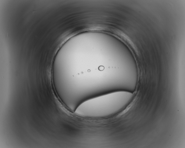 X0000088441417200705220905