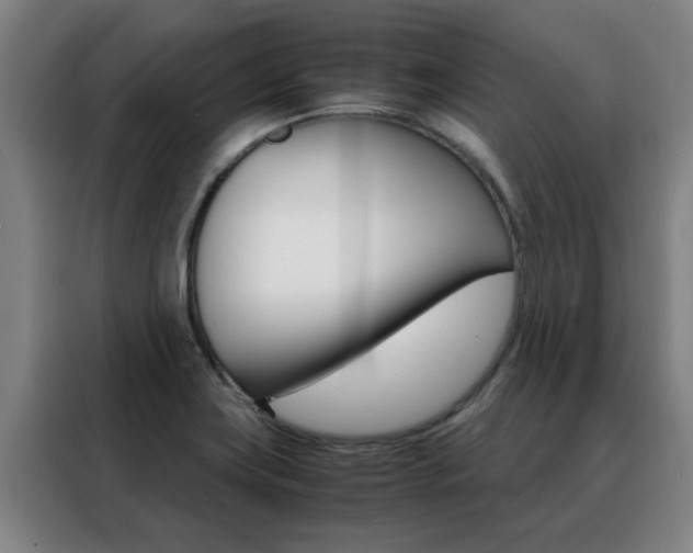 X0000088441419200705220905