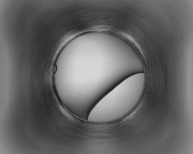 X0000088441421200705220905