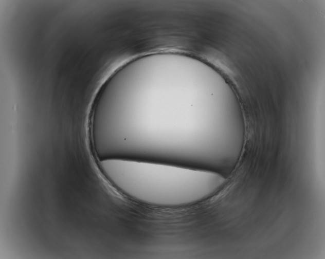 X0000088441423200705220905