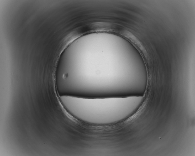 X0000088441425200705220905