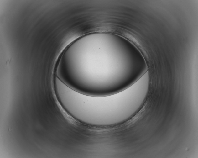 X0000088441426200705220905