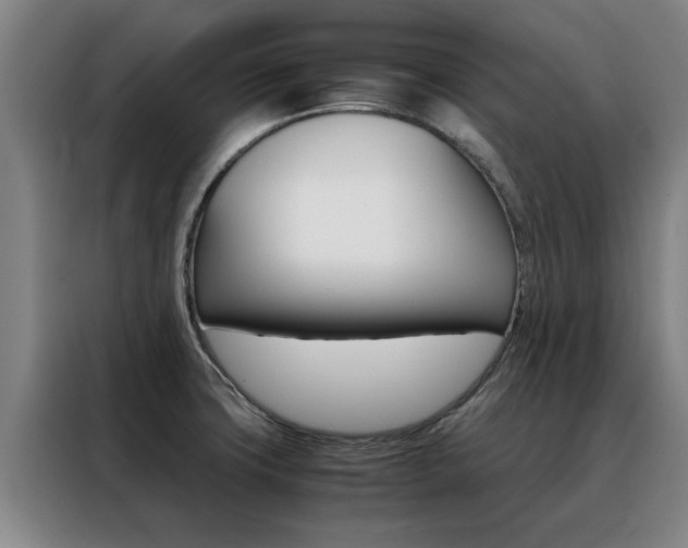 X0000088441427200705220905