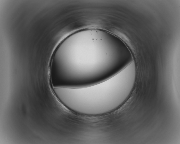 X0000088441428200705220905