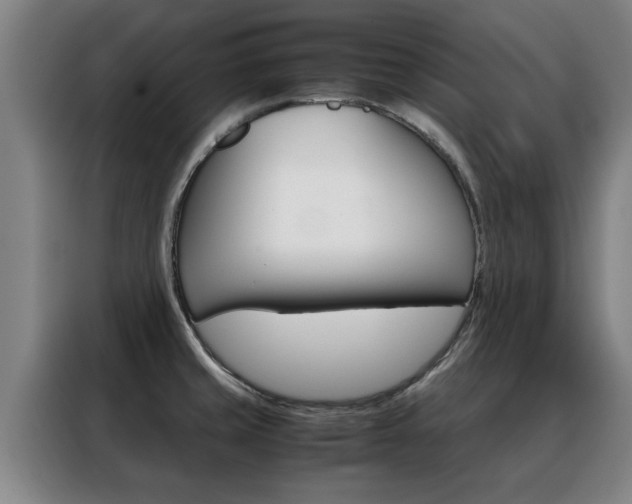 X0000088441429200705220905