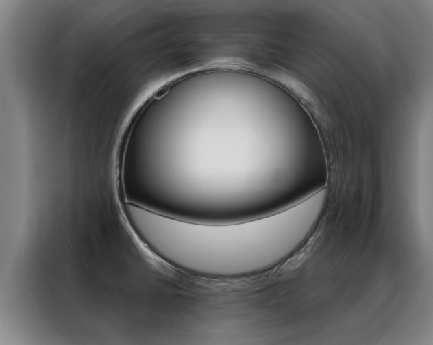 X0000088441430200705220905
