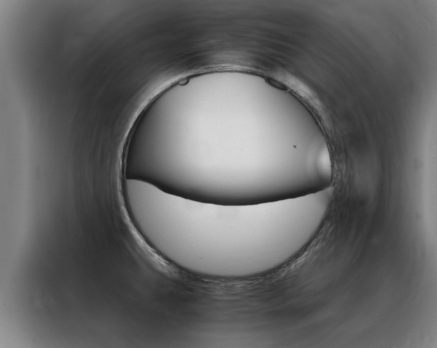 X0000088441431200705220905