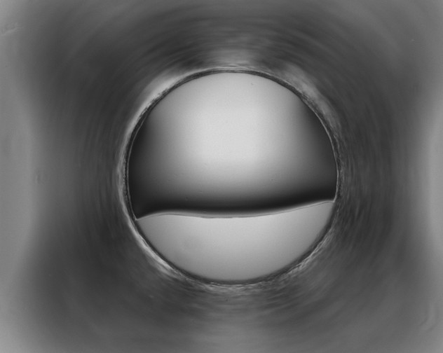 X0000088441432200705220905