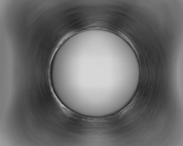 X0000088441434200705220906