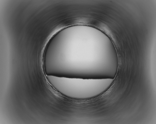 X0000088441435200705220906