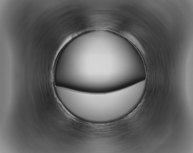 X0000088441436200705220906