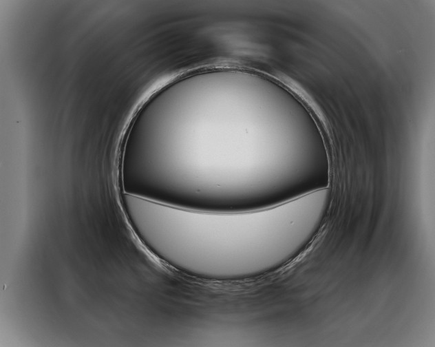 X0000088441437200705220906