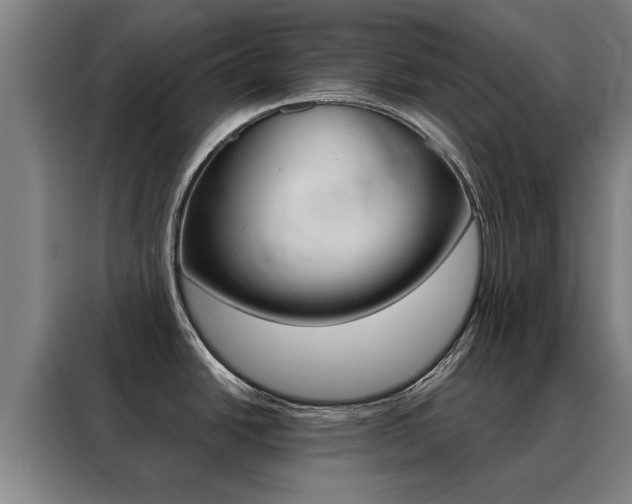 X0000088441438200705220906