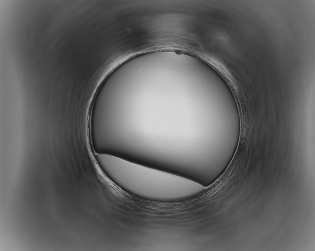 X0000088441439200705220906
