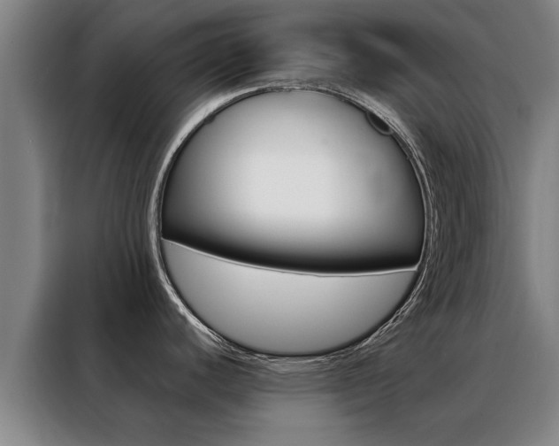 X0000088441440200705220906