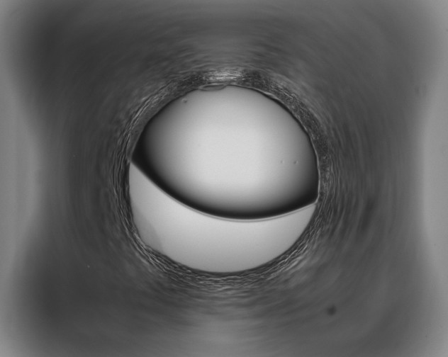 X0000088441441200705220905