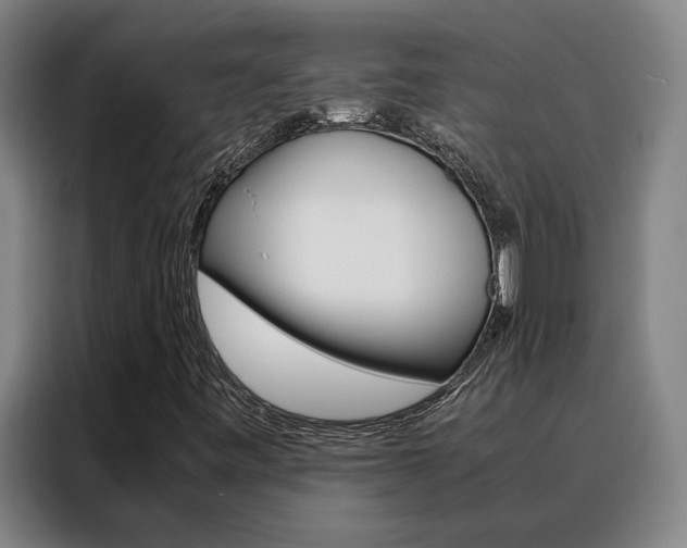 X0000088441443200705220905