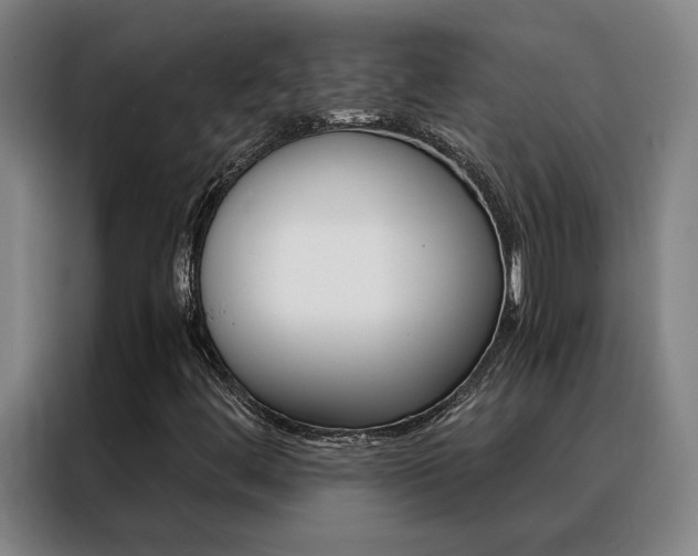 X0000088441444200705220905