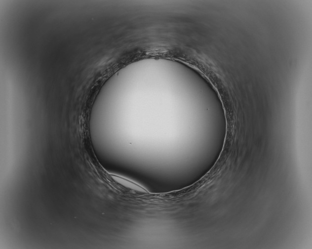 X0000088441445200705220905